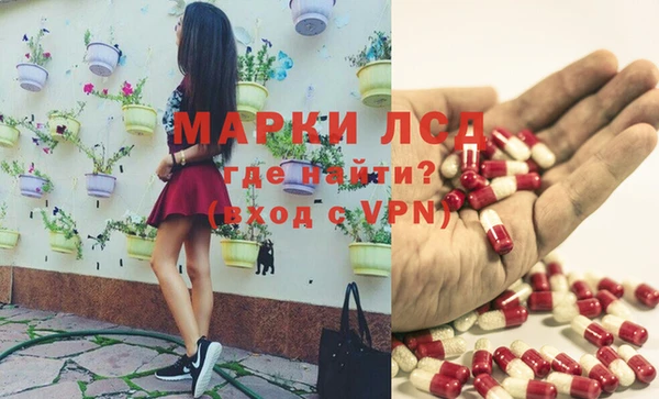 гидропоника Алзамай