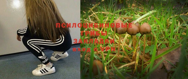первитин Алексеевка