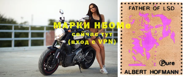гидропоника Алзамай