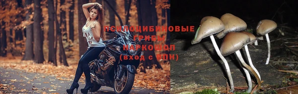 кокаин Заволжск