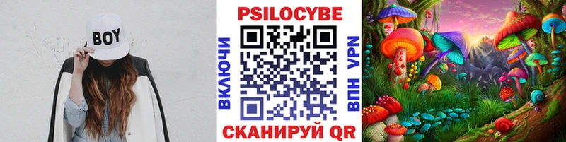 Псилоцибиновые грибы Psilocybe  Красный Кут 